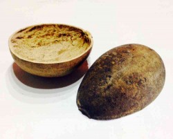Jícara Pequeña - santeria  - artículos para rituales